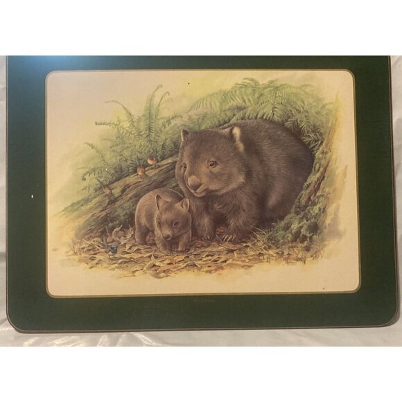 Ashdene of Australia 6 Australian Wildlife Place Mats Cork Back Kids Daycare Fun - Picture 2 of 7